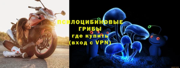 ECSTASY Михайлов
